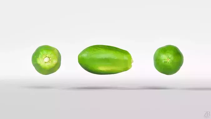 Papaya 3D model 5