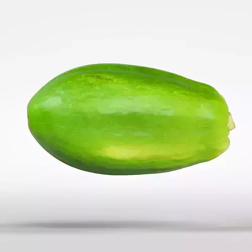 Papaya 3D model 6