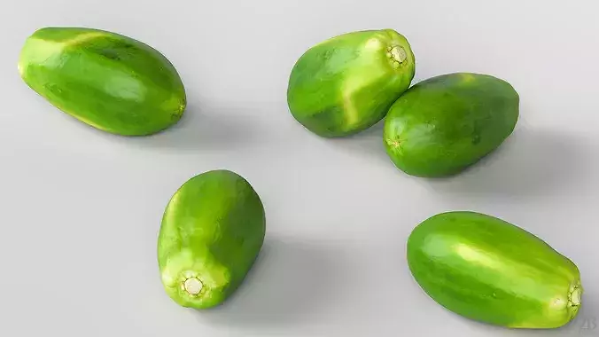 Papaya 3D model 3