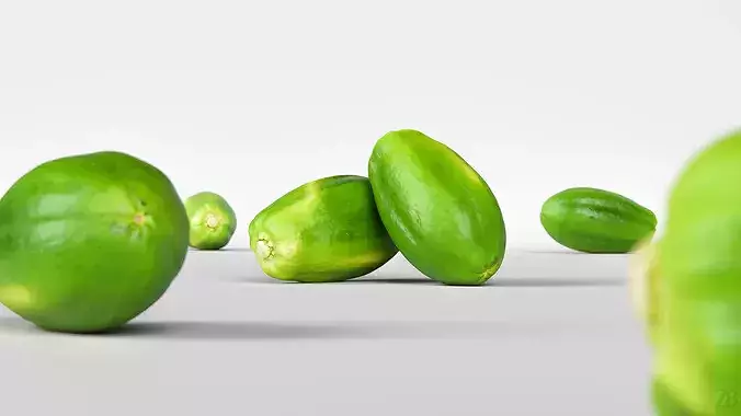 Papaya 3D model 2