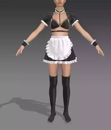 Erotic Maid Outfit