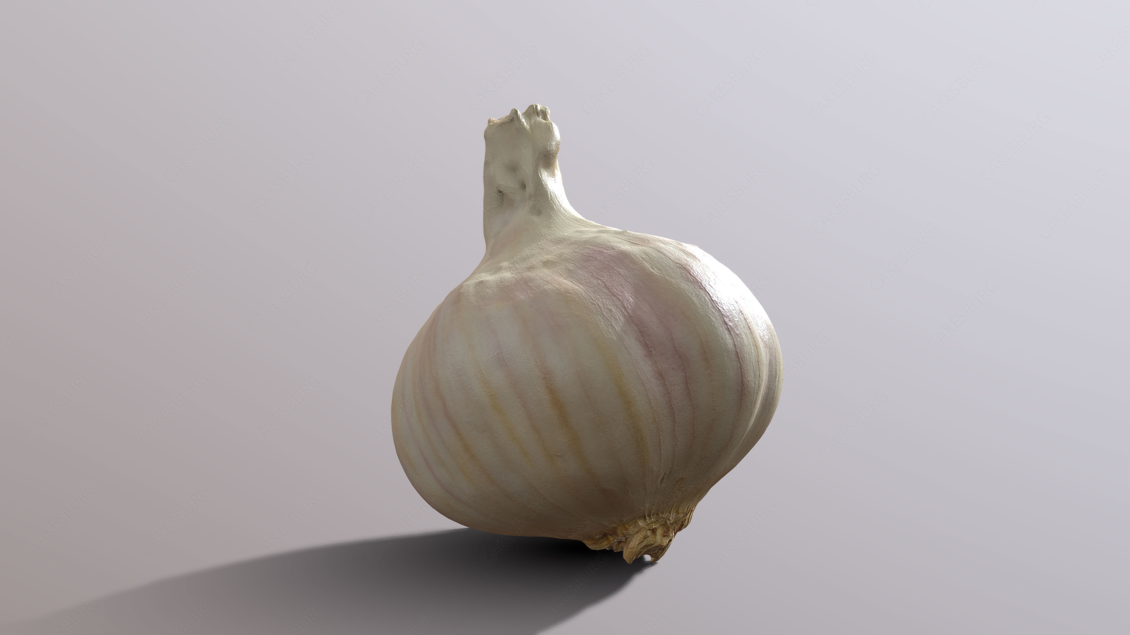 Garlic 3D model_3