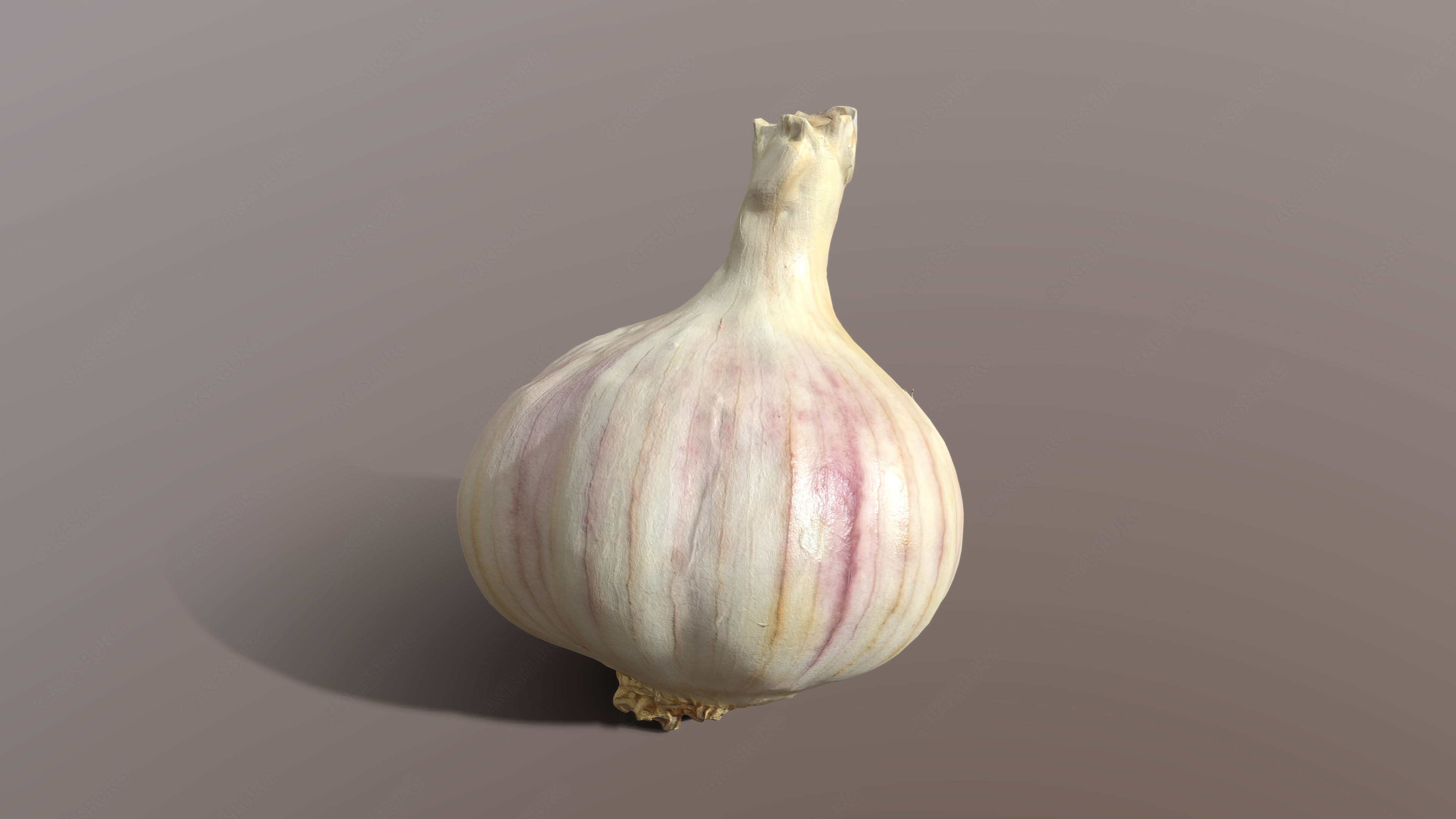 Garlic 3D model_1