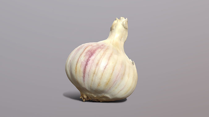 Garlic 3D model