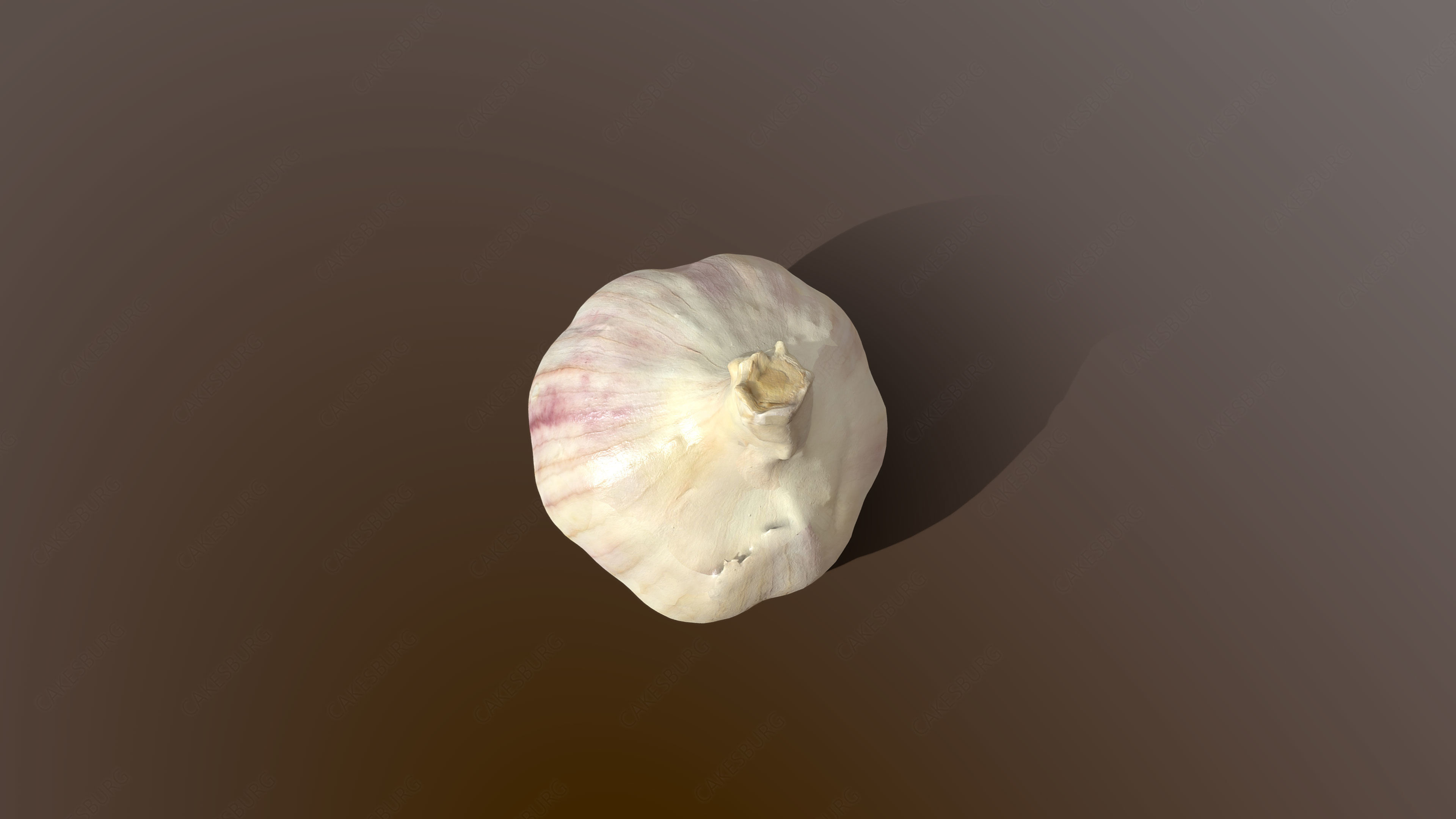 Garlic 3D model_5