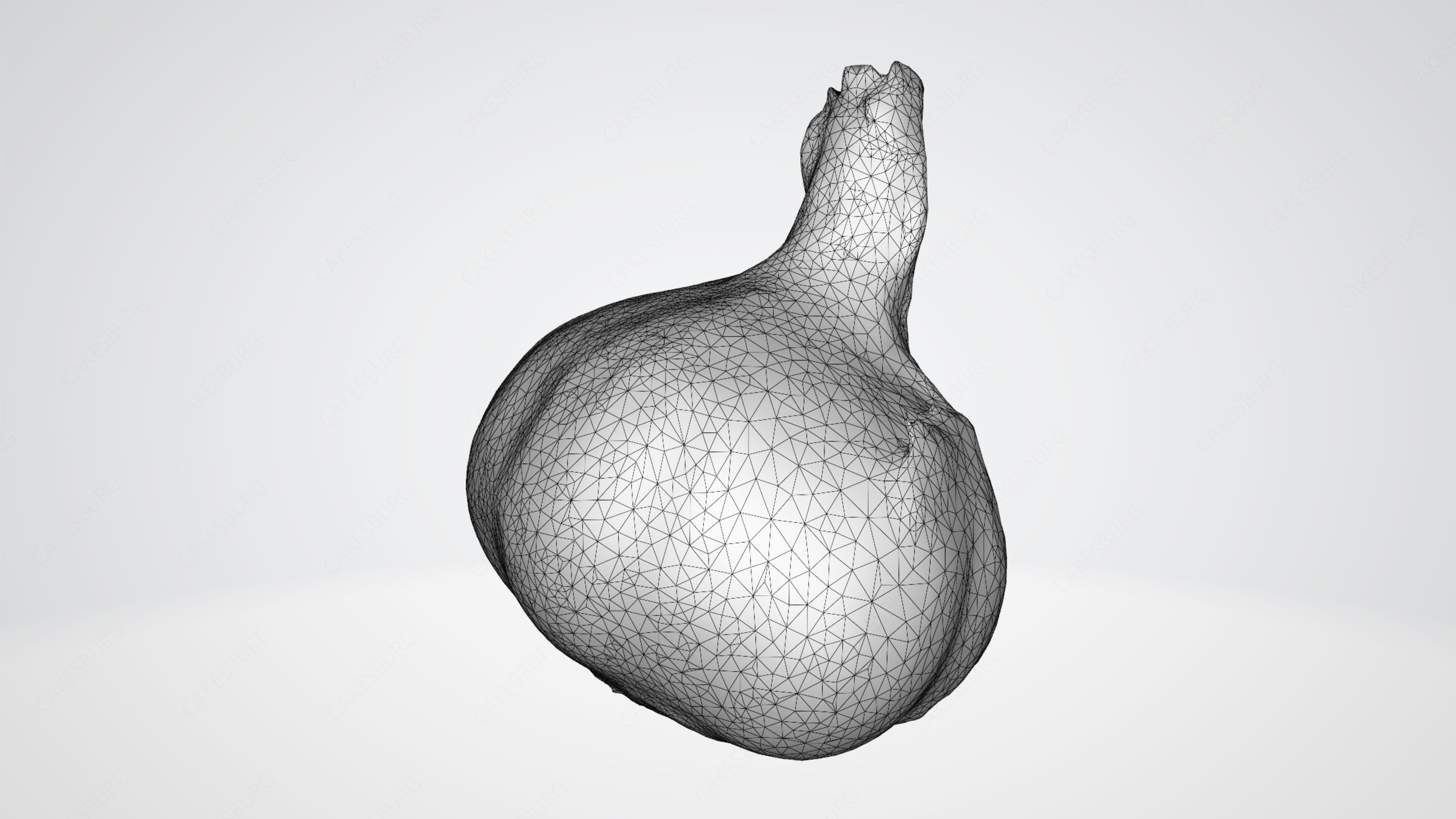 Garlic 3D model_6