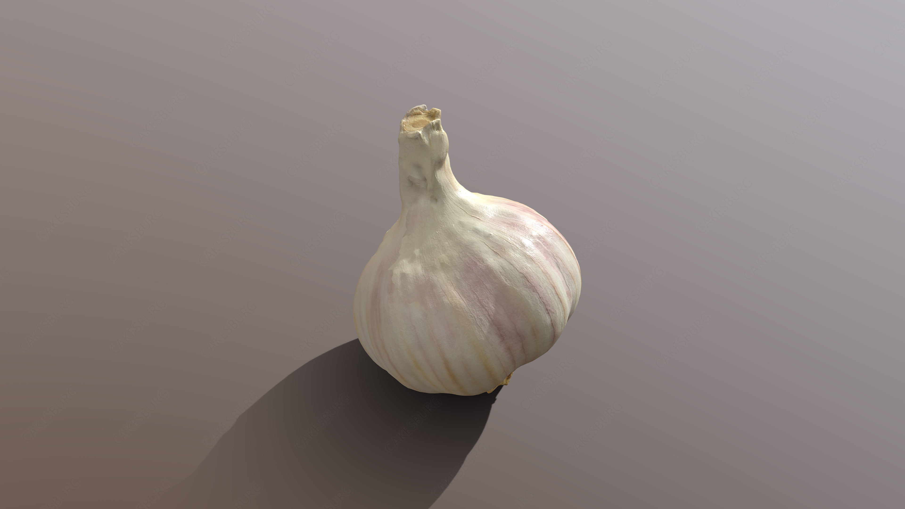 Garlic 3D model_4
