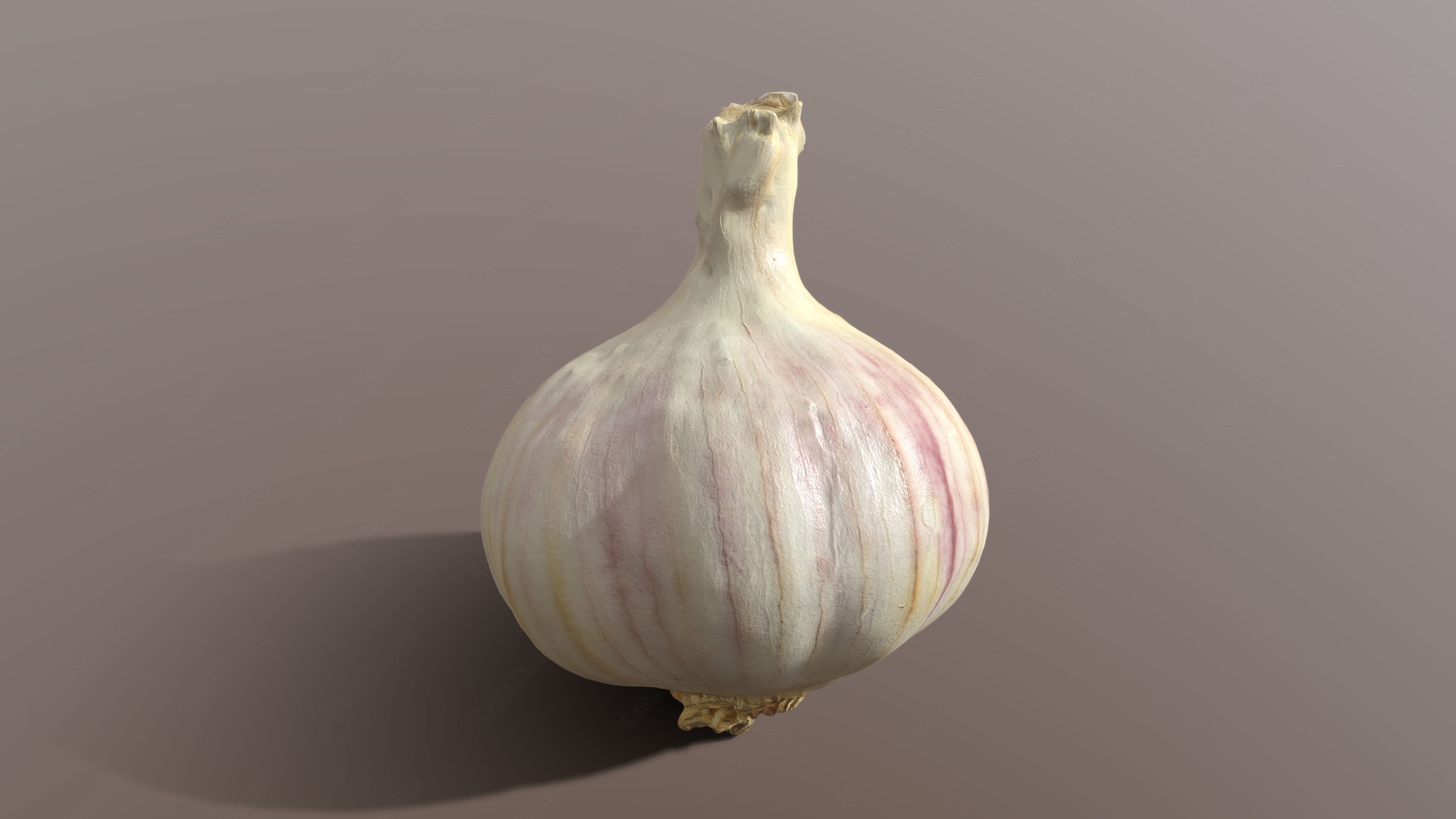 Garlic 3D model_2