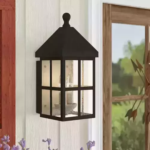Weathersby Seeded Glass Outdoor Wall Lantern