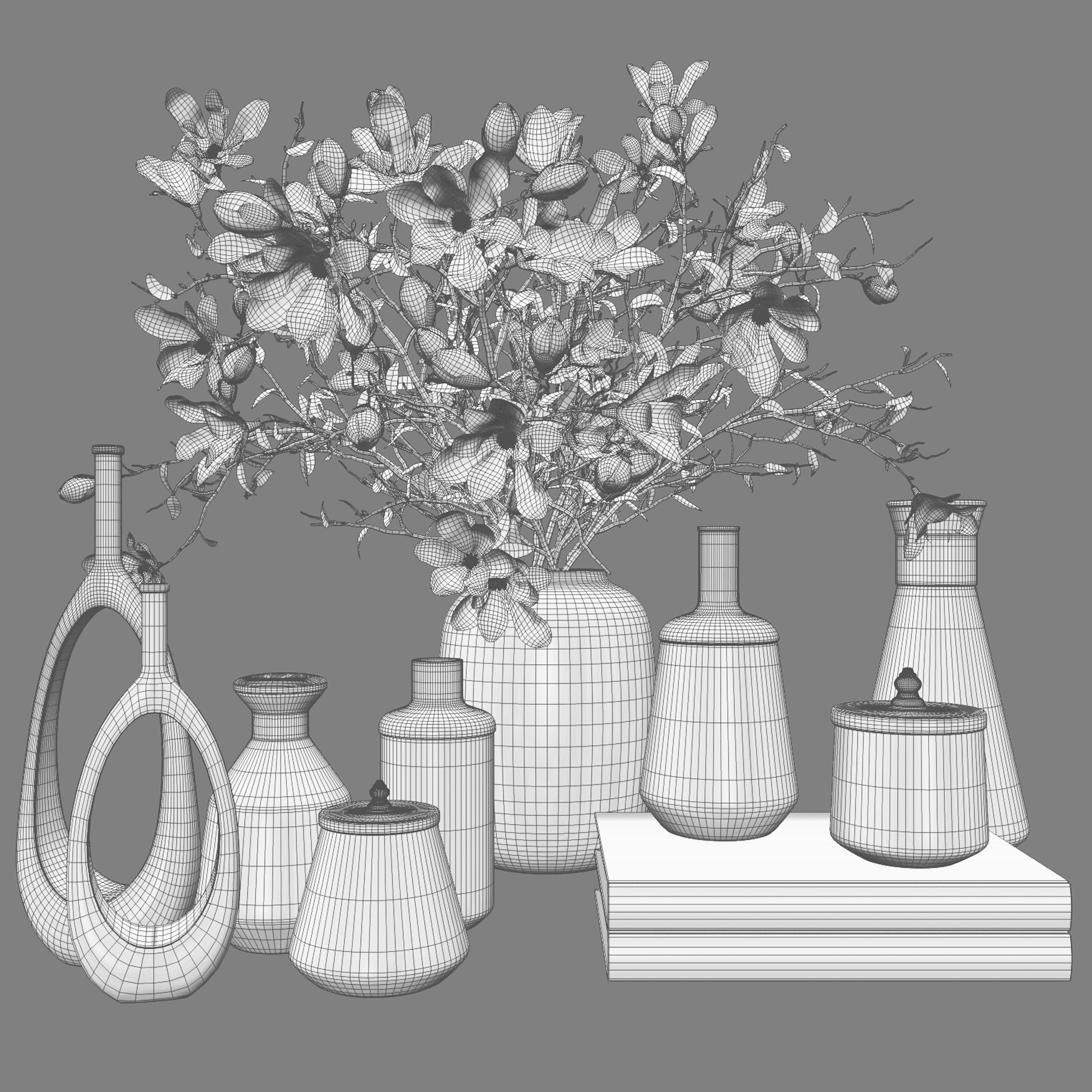 Decoration Set 30 Magnolia and Vases 3D model_3