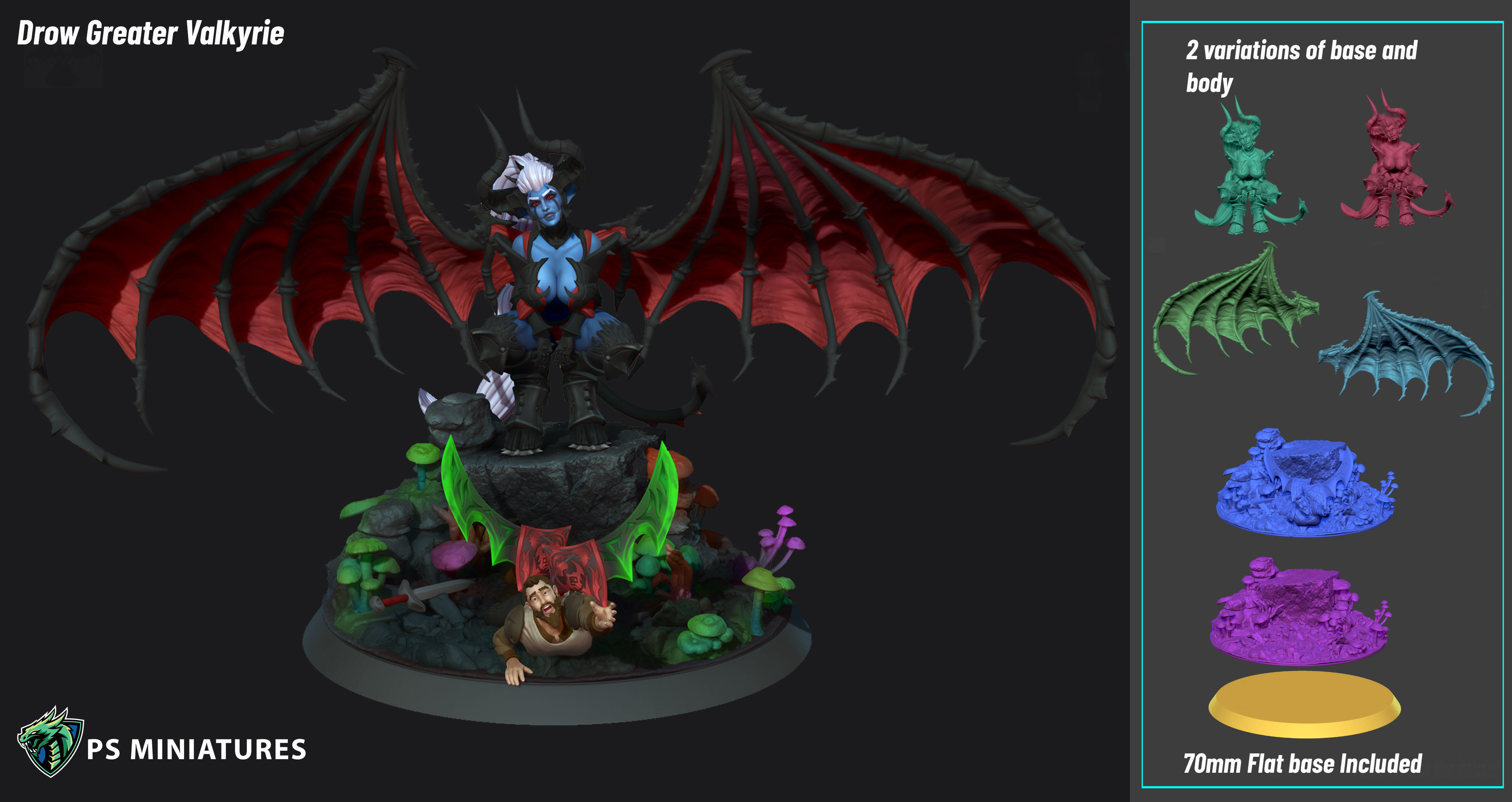 Drow Demonic Harpys and Valkyries Bundle 3D print model_5