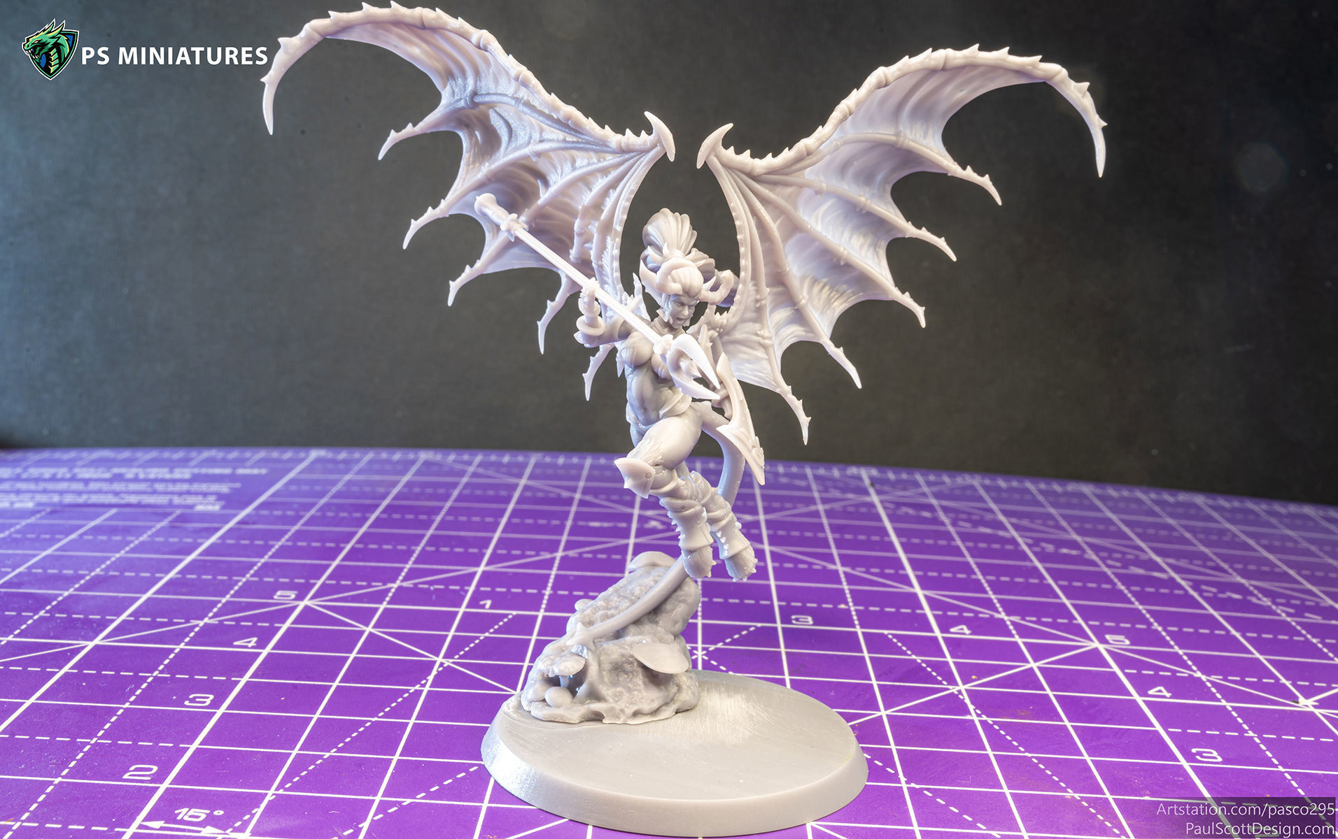 Drow Demonic Harpys and Valkyries Bundle 3D print model_12