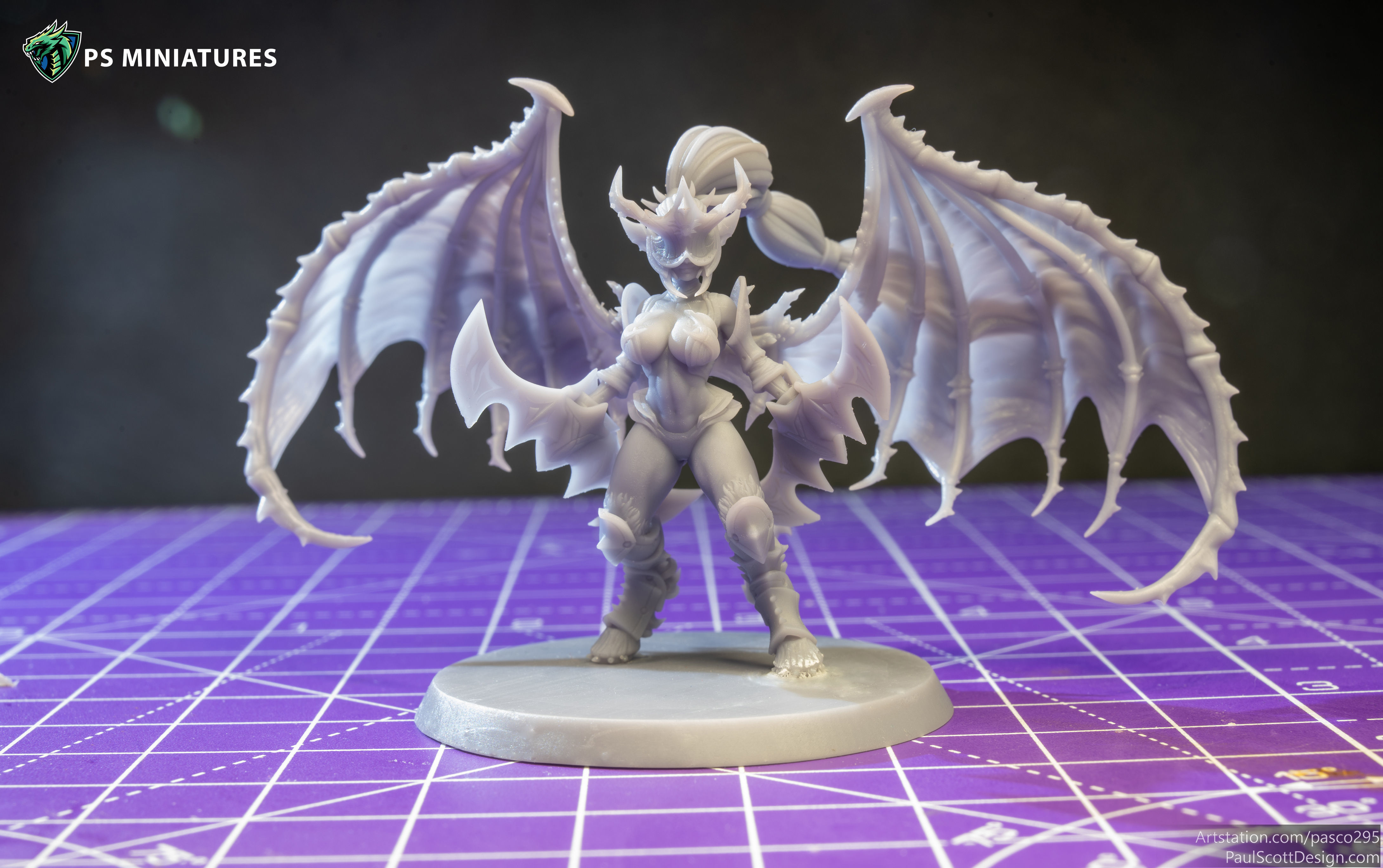 Drow Demonic Harpys and Valkyries Bundle 3D print model_36