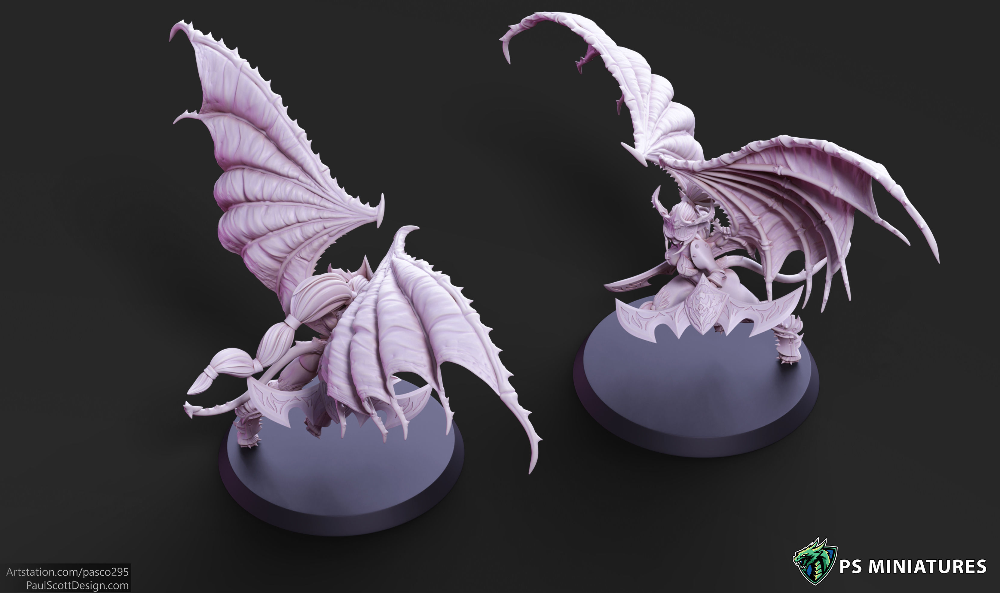 Drow Demonic Harpys and Valkyries Bundle 3D print model_24