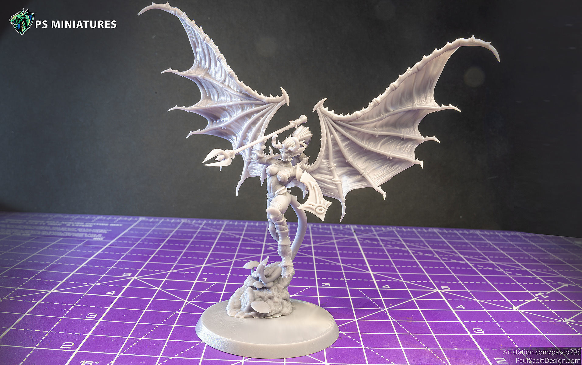 Drow Demonic Harpys and Valkyries Bundle 3D print model_15