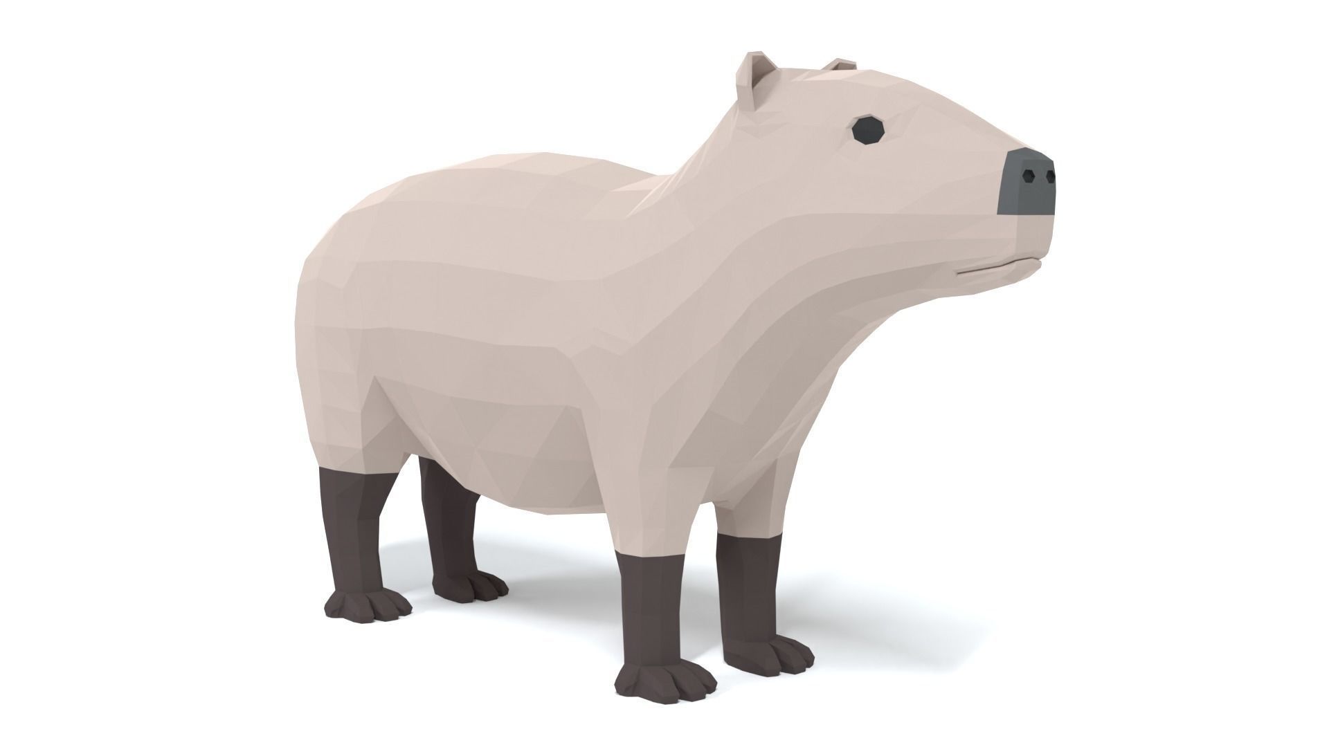 Low Poly Cartoon Capybara Low-poly 3D model_6