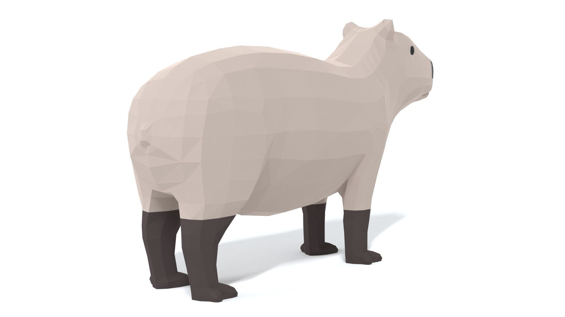 Low Poly Cartoon Capybara Low-poly 3D model_4