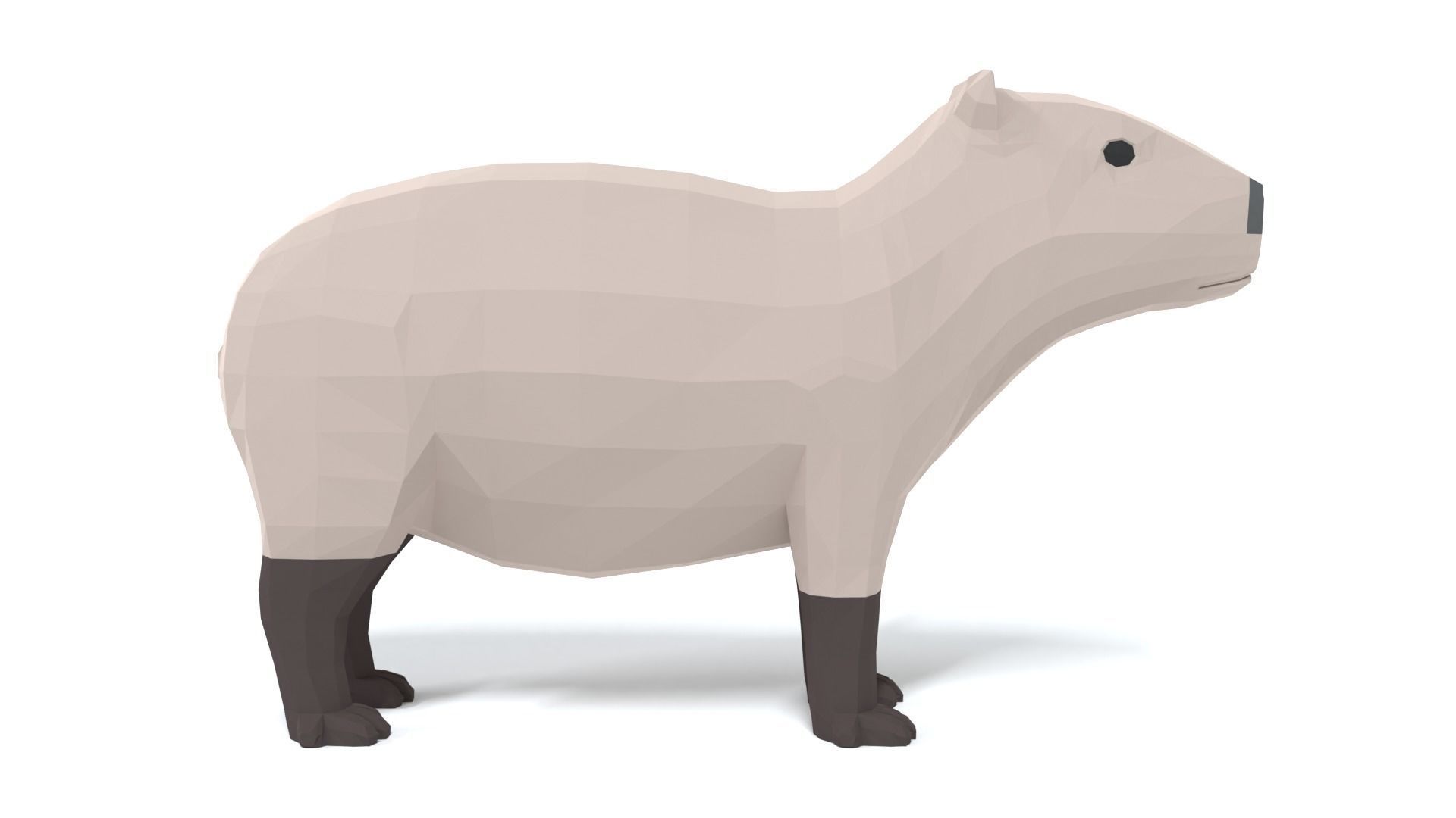 Low Poly Cartoon Capybara Low-poly 3D model_5