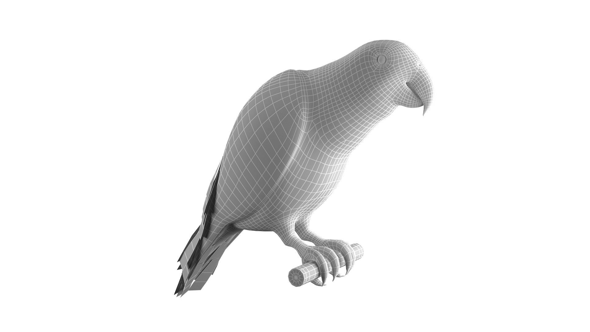 Parrot perched on branch 3D model_12