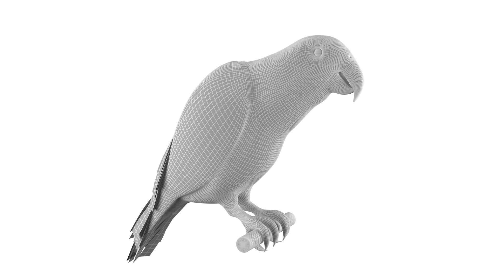 Parrot perched on branch 3D model_9