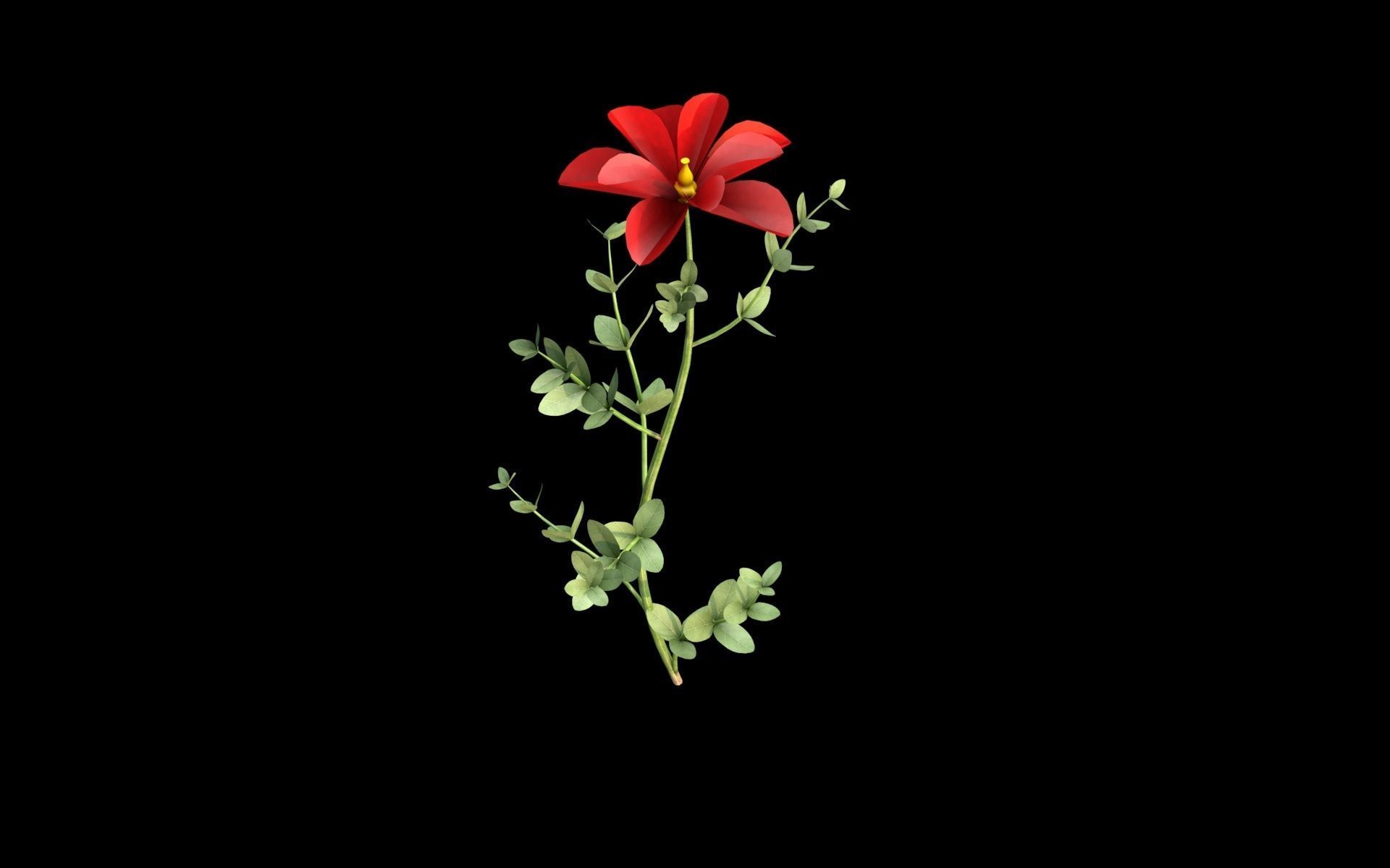 Aster flower  Low-poly 3D model_9
