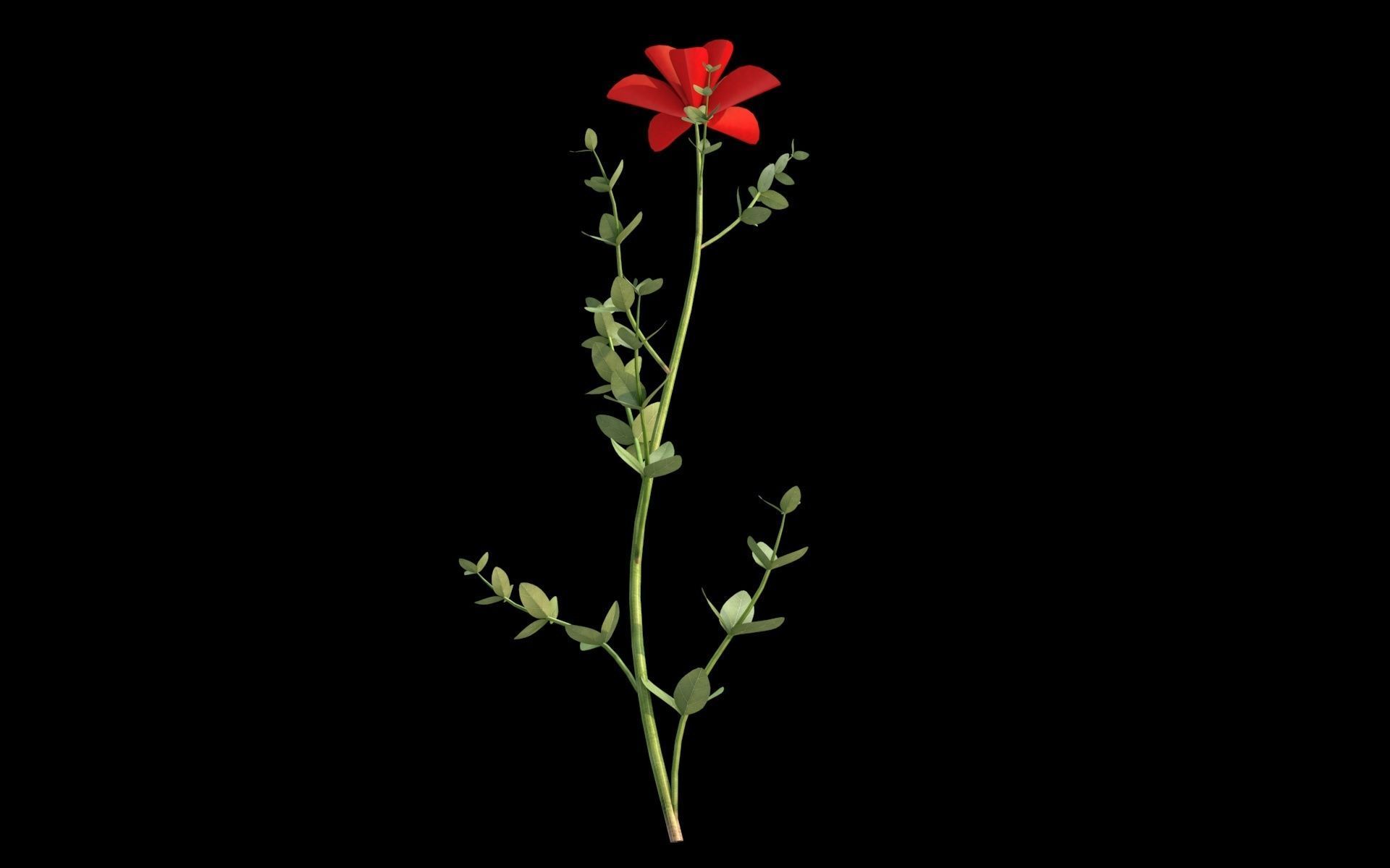 Aster flower  Low-poly 3D model_7