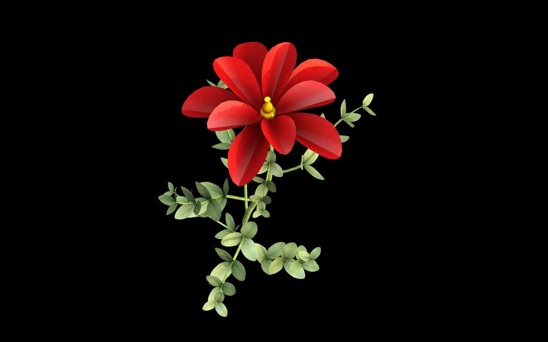Aster flower  Low-poly 3D model_8