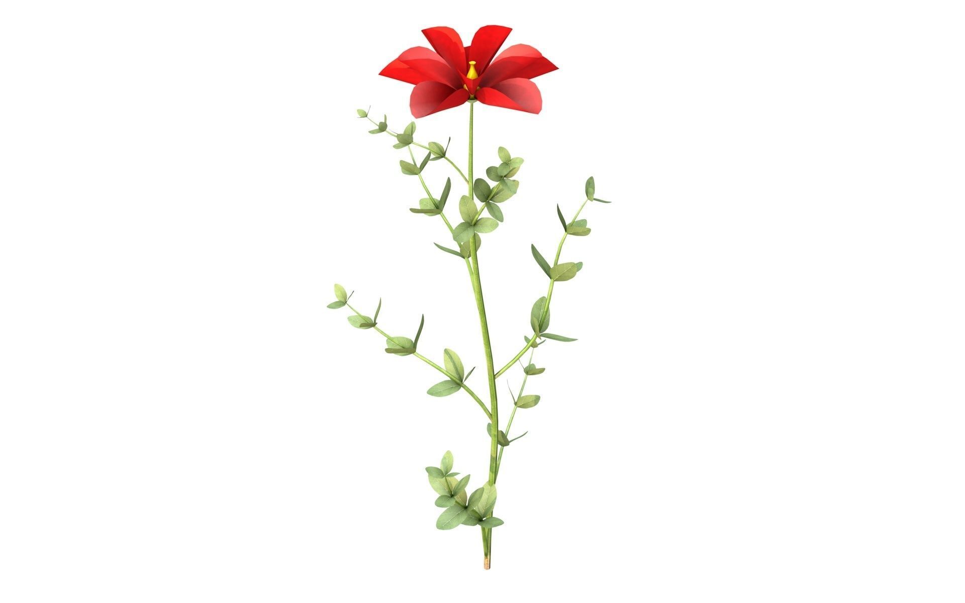 Aster flower  Low-poly 3D model_4
