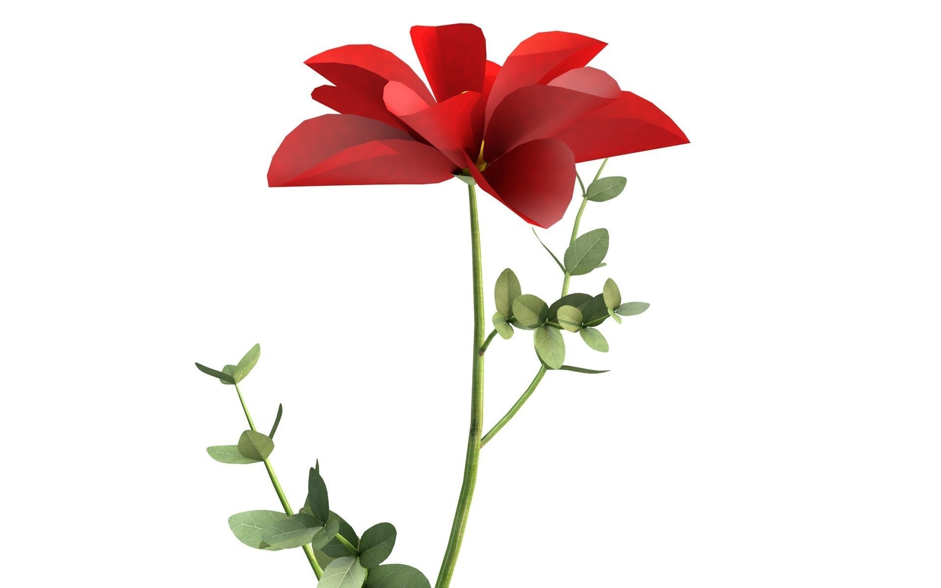 Aster flower  Low-poly 3D model_6