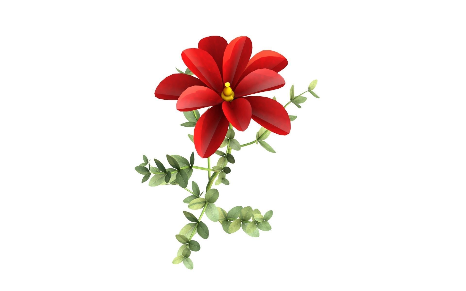 Aster flower  Low-poly 3D model_3