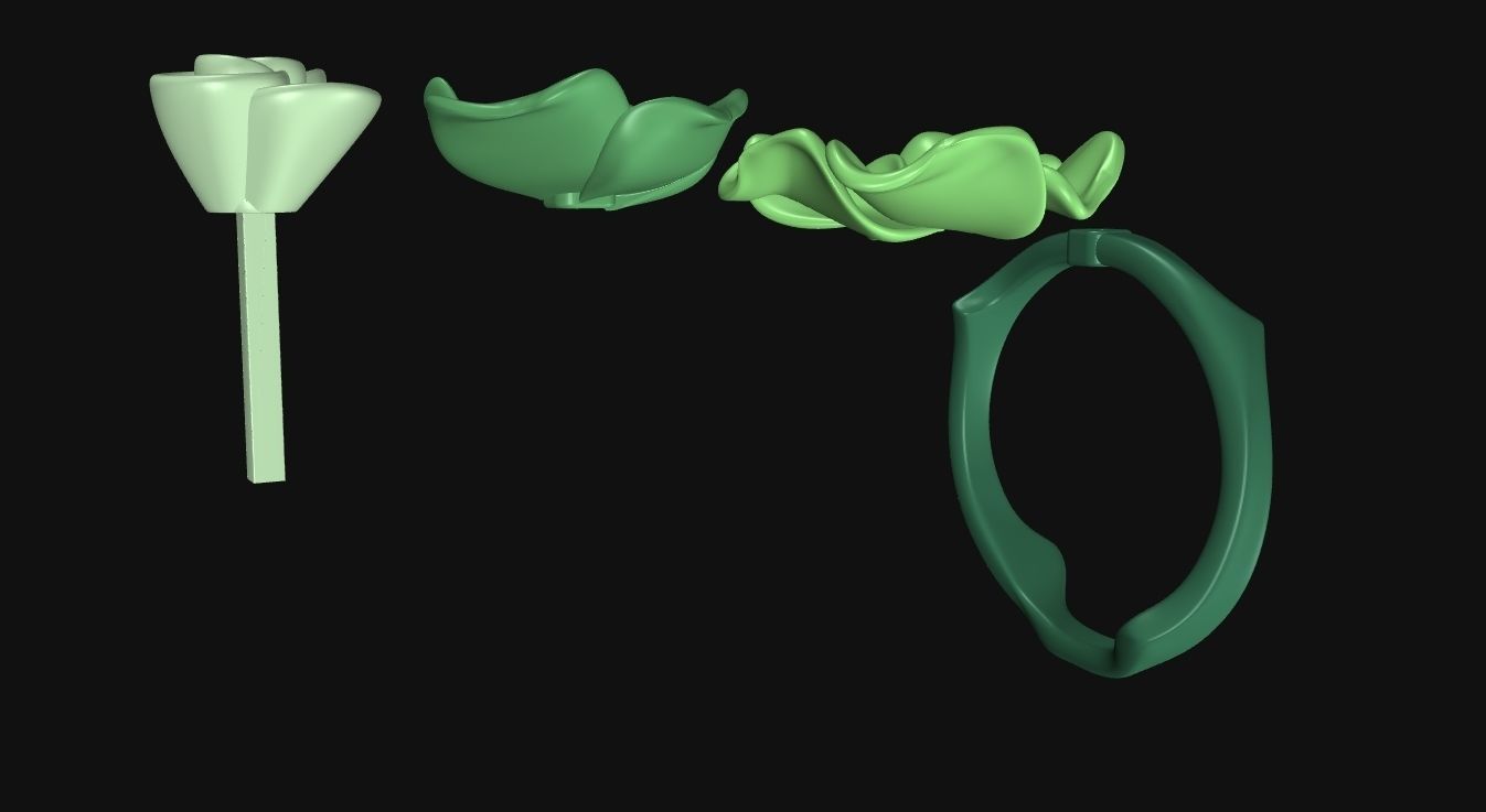 The Rose Ring - Gold 3D print model_13