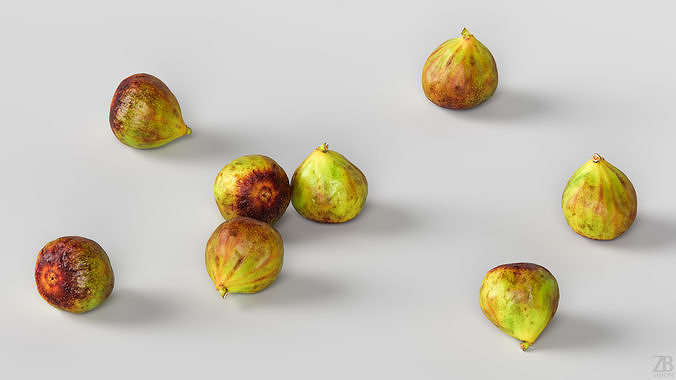 Fig   3D model 3