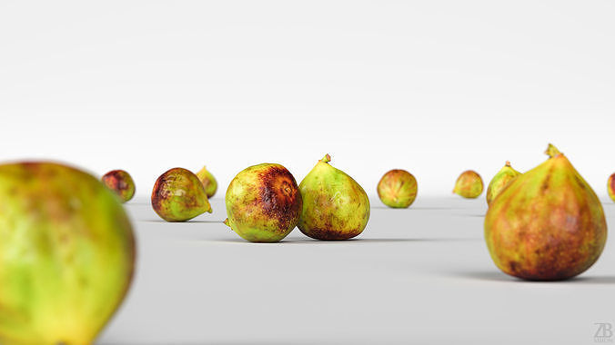 Fig   3D model 2