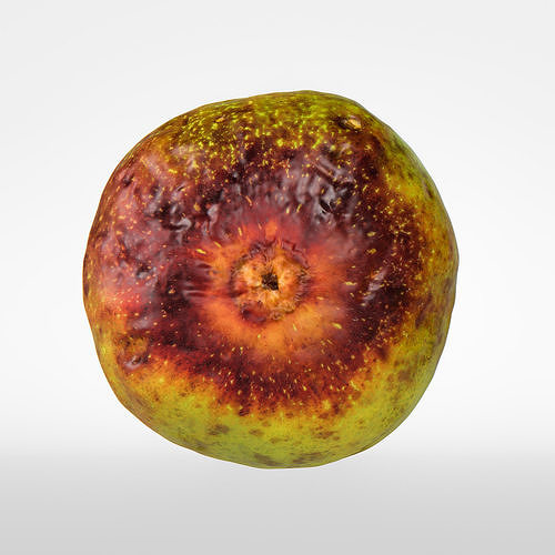 Fig   3D model 7