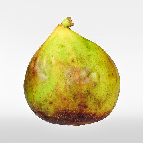 Fig   3D model 6