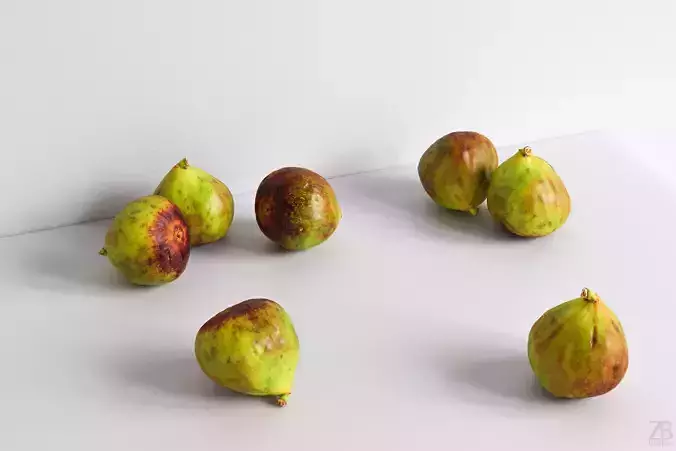 Fig   3D model