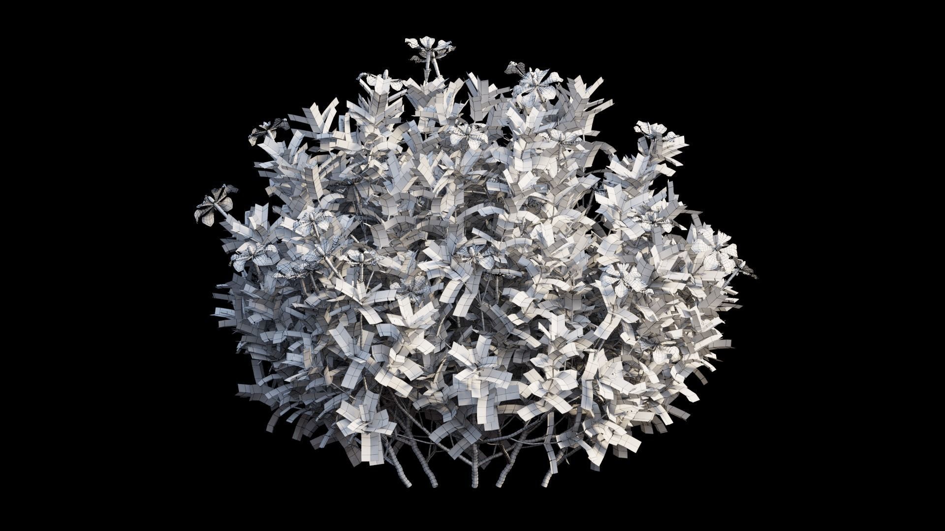 Gardenia angustifolia Merr 10 3D model_10