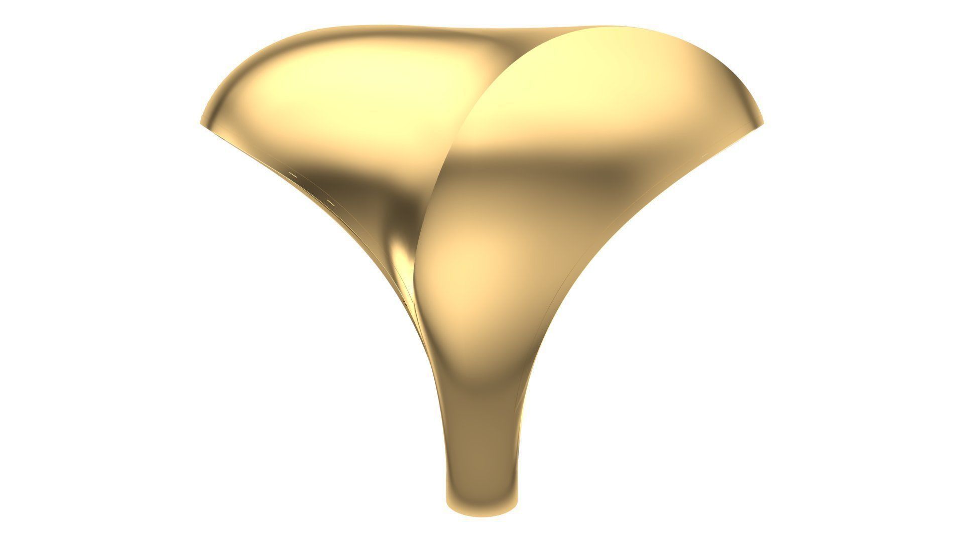 POLISHED FUSION RING-R05- 3D print model_3