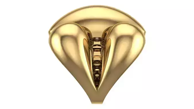 POLISHED FUSION RING-R07-