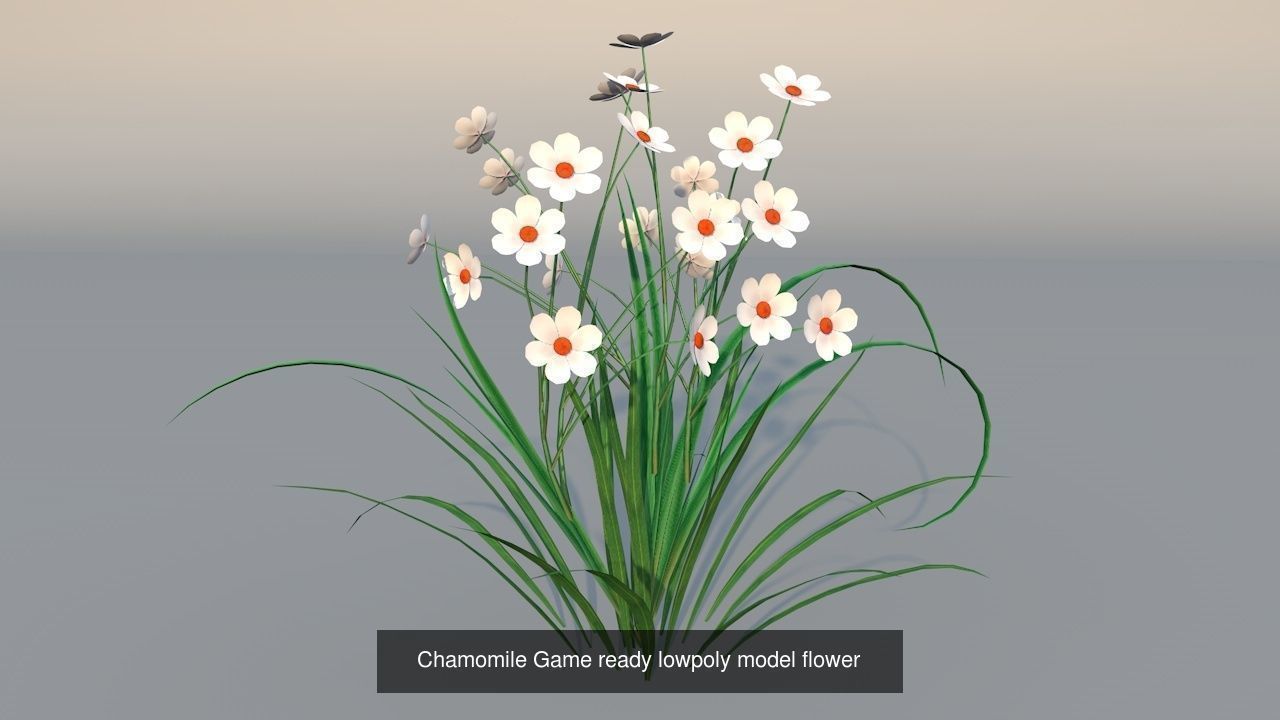 Flora Colorful Plant Collection _7