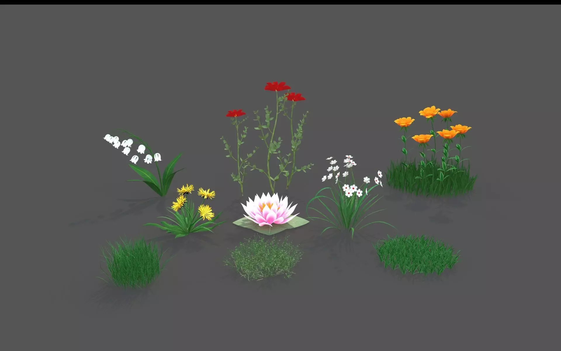 Flora Colorful Plant Collection _0