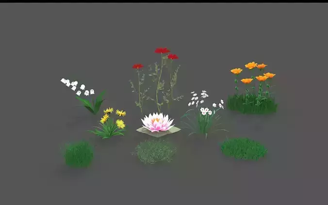  Flora Colorful Plant Collection 