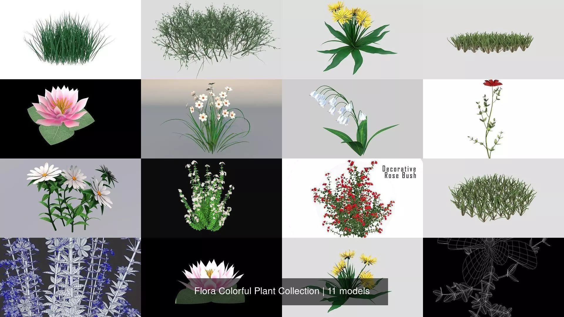 Flora Colorful Plant Collection _2