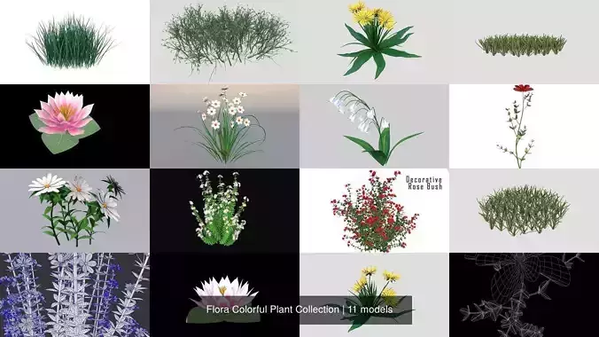  Flora Colorful Plant Collection
