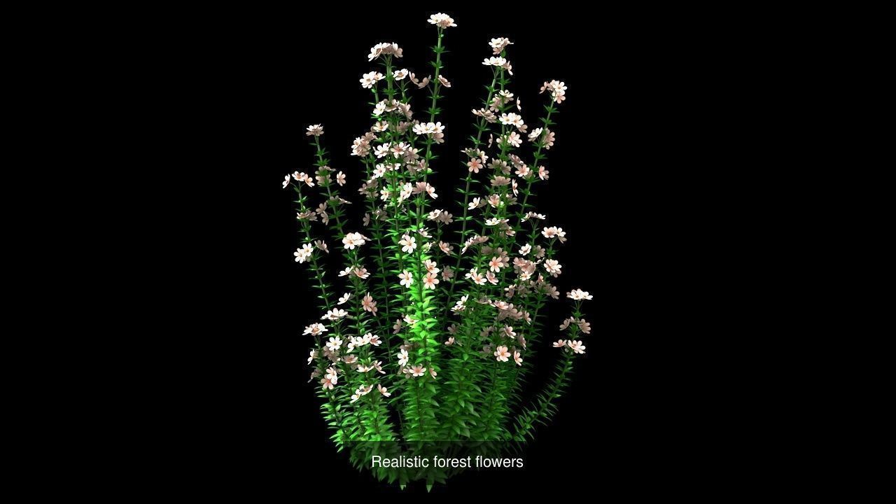 Flora Colorful Plant Collection _4