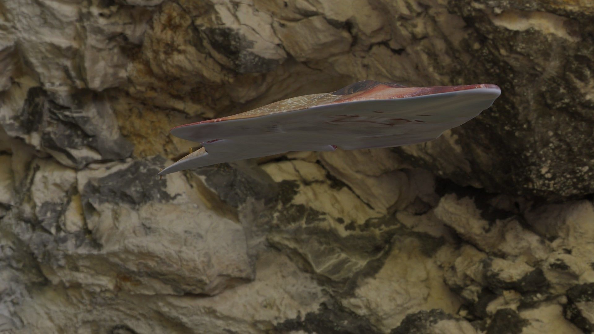 Guiltar Fish Low-poly 3D model_3