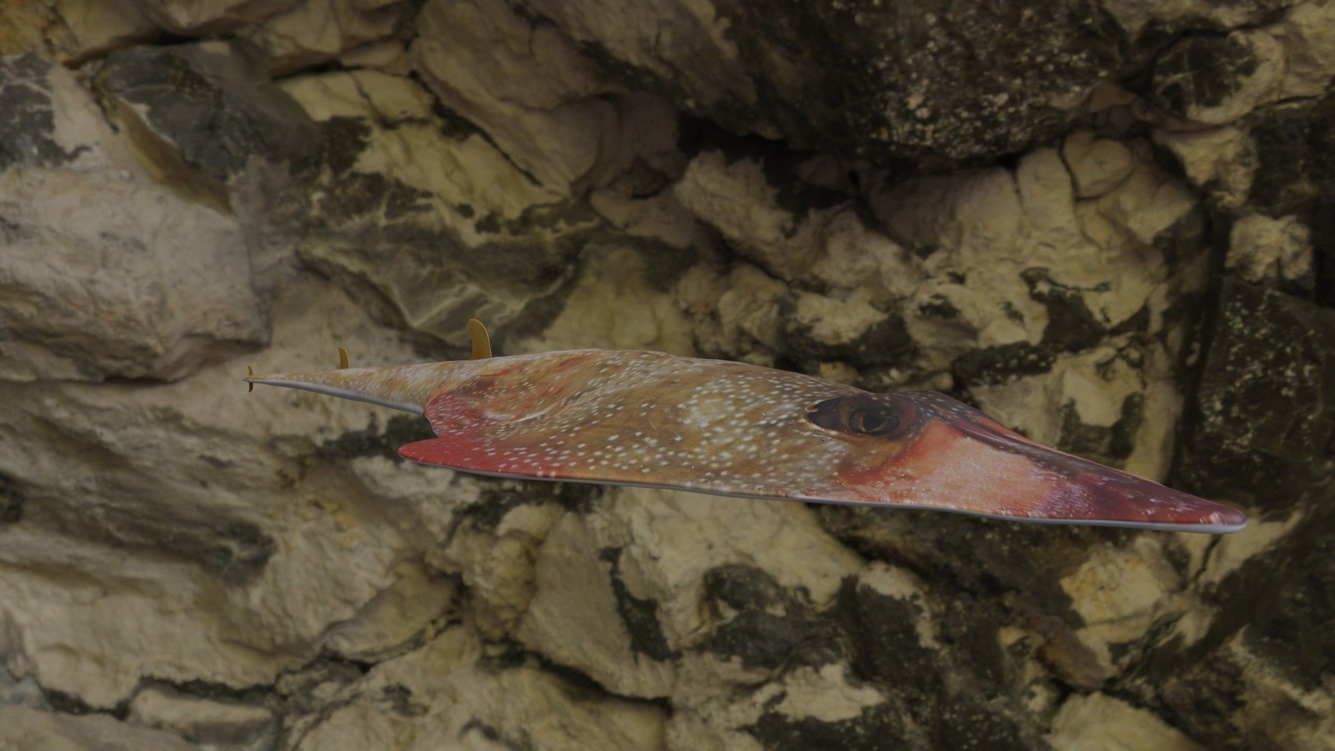 Guiltar Fish Low-poly 3D model_1