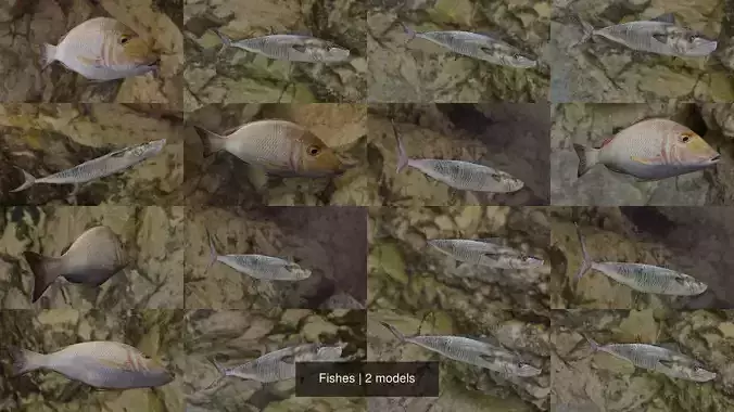 Fishes fish in virtual world