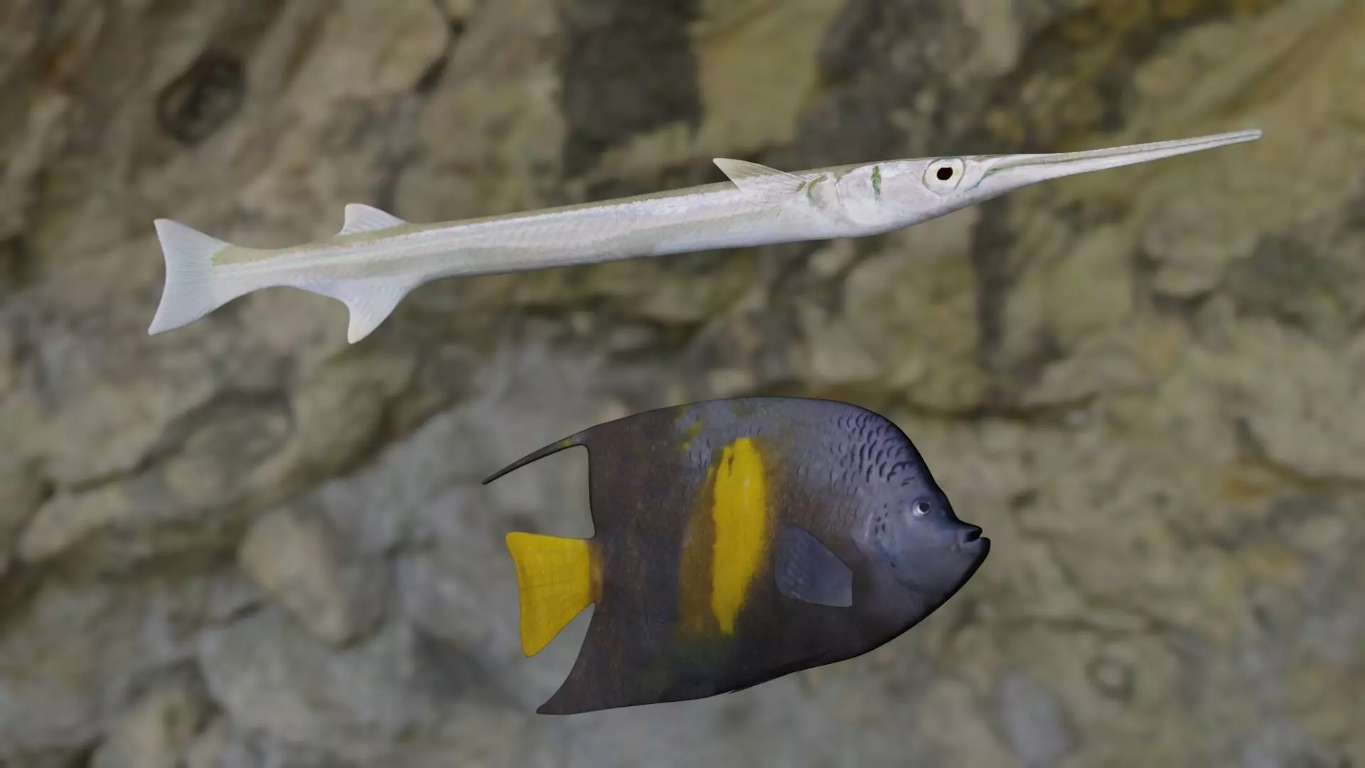 Fishes two fish flying in air 3D Model Collection_0