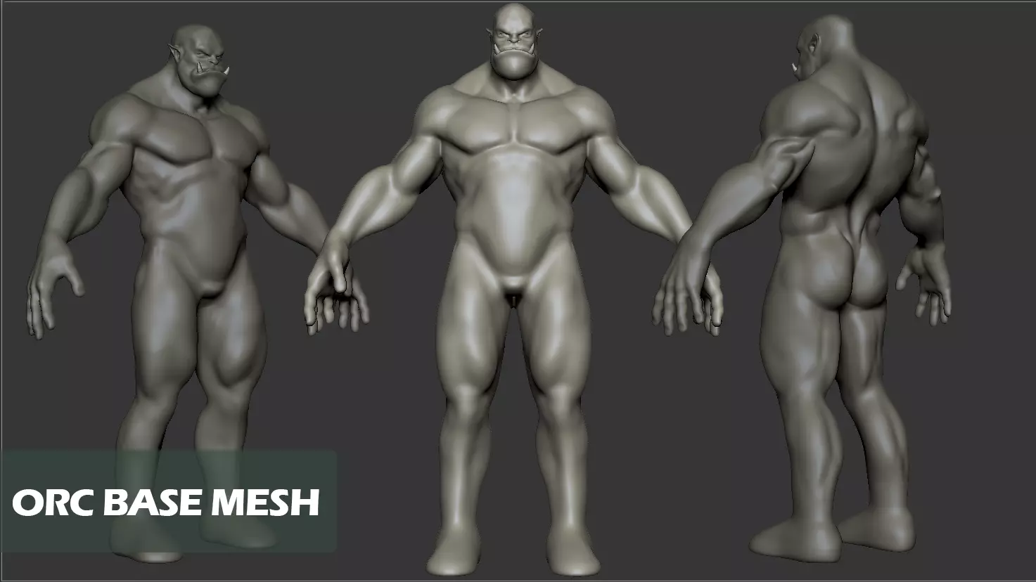 Orc  Base  Mesh 3D model_0
